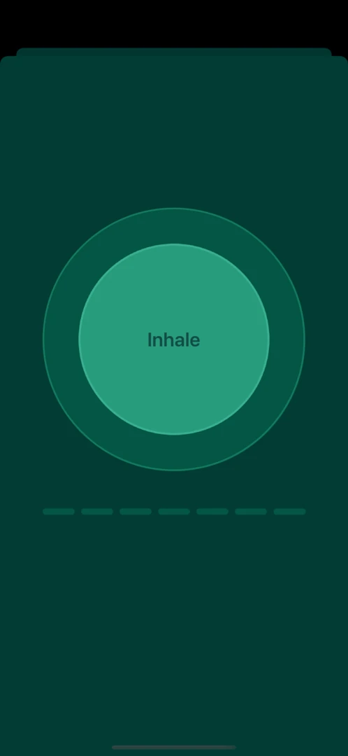 Pulse app inhale animation – visual breathing guide for anxiety relief